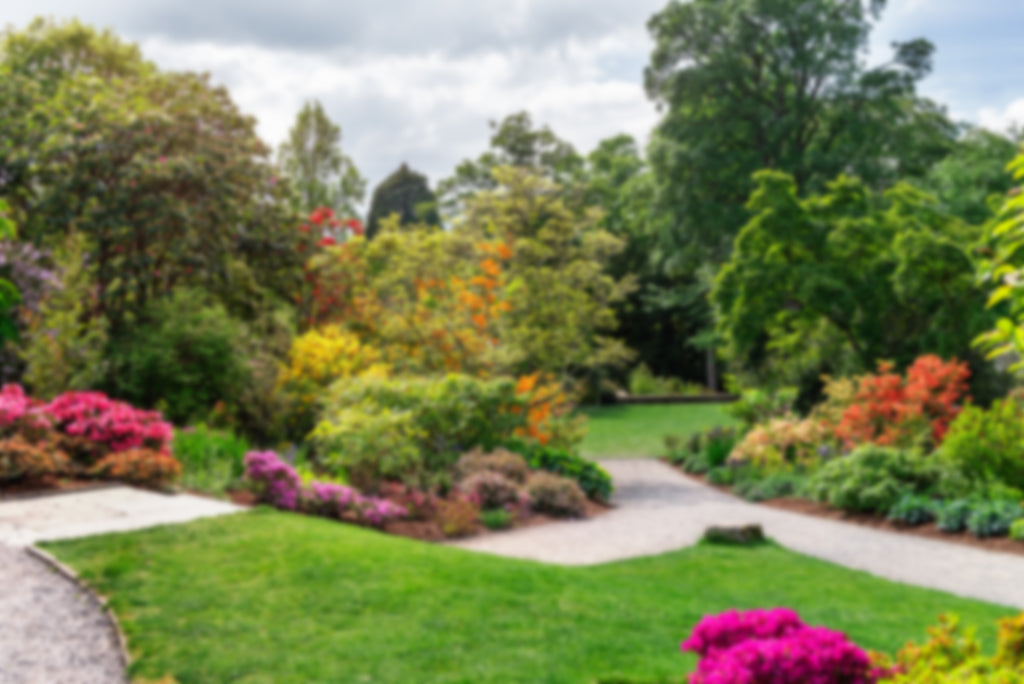 Flower Landscape