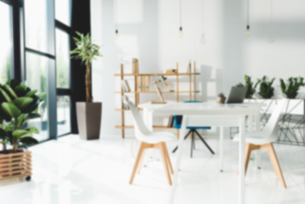 White Dining Area